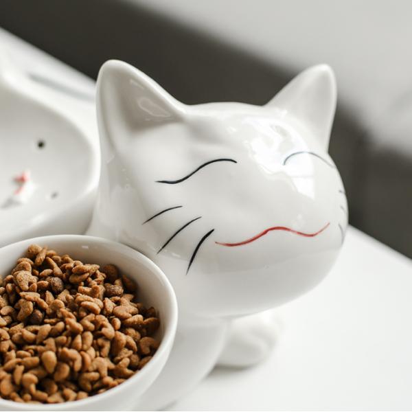 2L Water Capacity Ceramic Pet Bowl Automatic Multifunctional