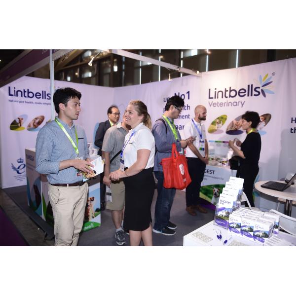 Juguetes para mascotas para juegos en interiores Juguetes de perro de color corduroy Forma de animal Plush Squeaky Chew Bite Resistente a los suministros