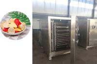 304 SUS Secador industrial por congelamento com sistema de refrigeração Bitzer