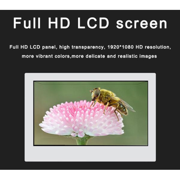 high quality multi touch 43 inch transparent advertising display price