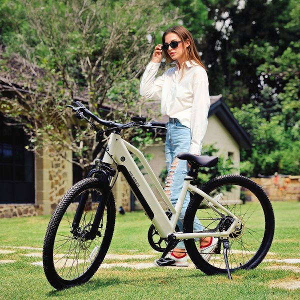 TST C624 Adult Electric Mountain Bike Rear Hub Motor Steel Frame Disc Brake Brushless Motor 10.4Ah Lithium Battery
