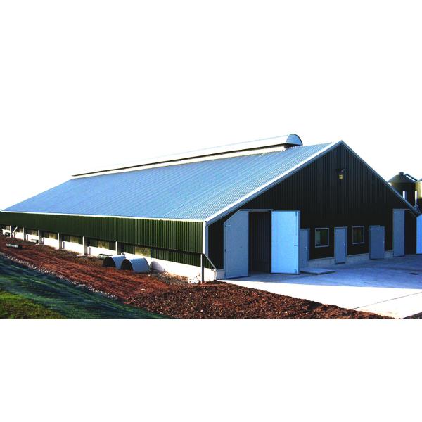 Industrial Warehouse Living Durable Steel Structure Chicken Coop for Comfortable Space