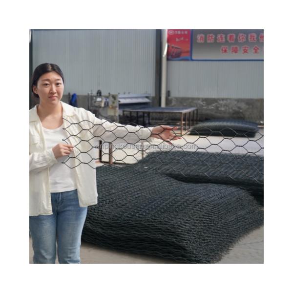 Cage en pierre galvanisée en gabion de 2x1x0,5m pour clôture de jardin et murs de soutènement