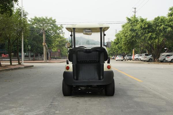 Onward 2 Passenger Electric Golf Cart Trojan Battery CE Approved