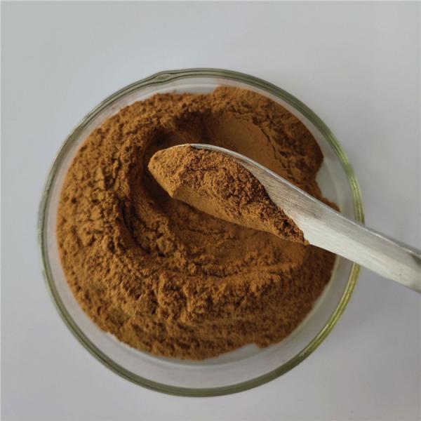 Medicine Grade Purslane Extract For Detoxification
