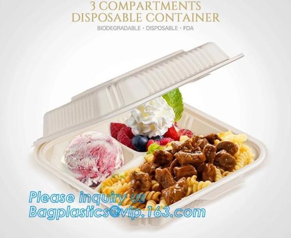 Catering Eco-Friendly Container Compartment Starch lunch Meal Box, Disposable Takeaway Packaging, Takeout
