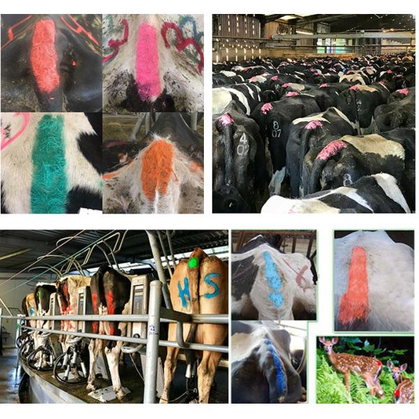 Боди-арт крытого на открытом воздухе аэрозоля 350g животный для свиньи овец