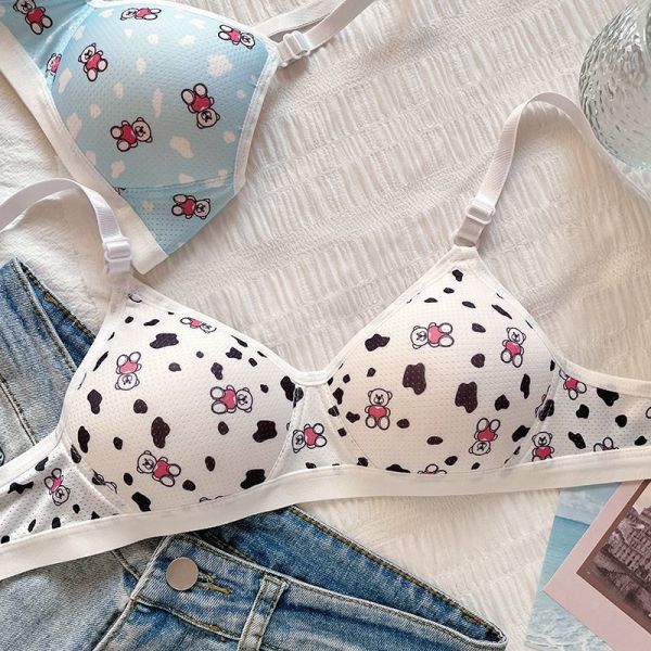 Sweet Cartoon Bear Triangle Cup Underwear for Women With Small Breast Gathered High School Students for Small Breast Slim Girls
