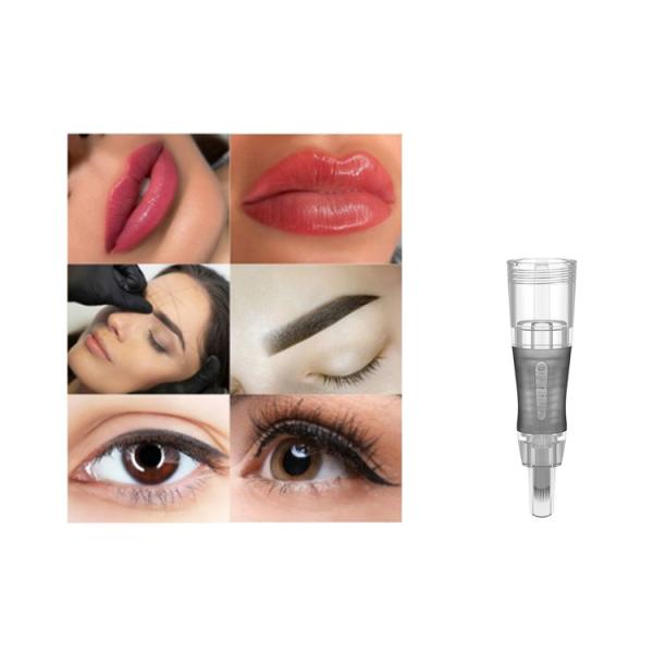10Pcs Disposable Sterilized Tattoo Needle For Lip PMU Gun Semi Permanent Makeup Machine
