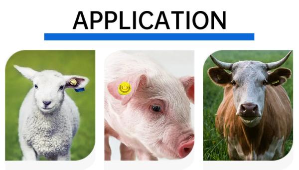 Printing Electronic Ear Tags Animal 134.2KHz 30.6 Mm For Livestock