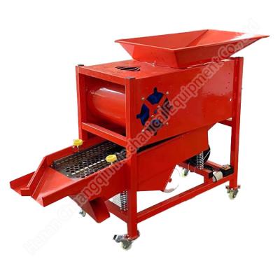 Farm Garlic Grading Splitting Equipment Commercial Garlic Grader Machine Garlic Separating And Screening Machine Vertical Garlic Separator Machine