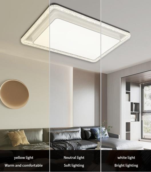 6000K LED Ceiling Lamp Anti Rust Iron Chassis for Home Commercial Space