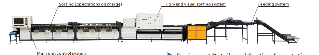 Сортировать слив нержавеющей стали и сортировальная машина 380V/50Hz