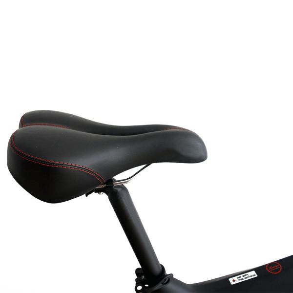 48V Electric Carbon Fiber Bike with 750W or 1000W Brushless Motor 26