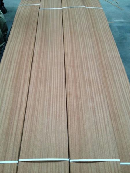SAPELE Wood Veneer Quartered SAPELLI