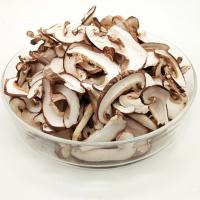 Brown escuro secou a nutrição alta cortada dos cogumelos de Shiitake