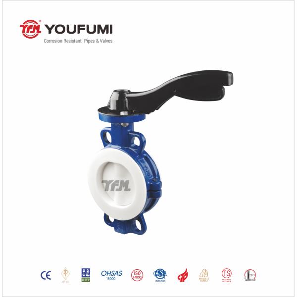 Corrosion Proof CF8 PTFE Lined Butterfly Valve Wafer Type For Sea Water