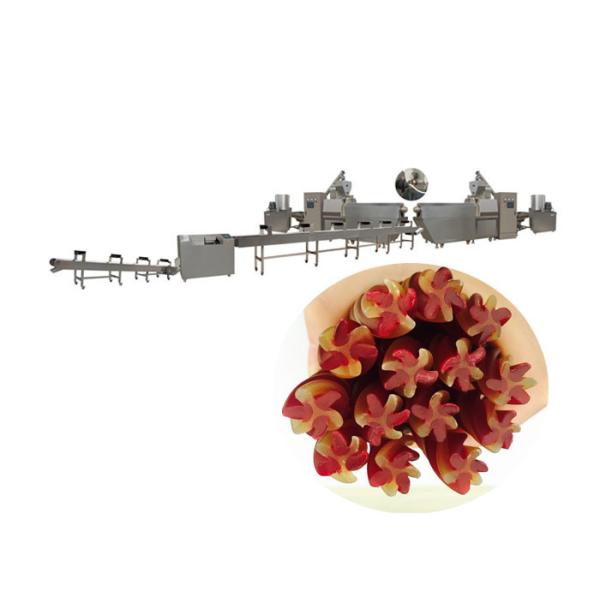 любимец обрабатывает параметр Делать обслуживаний ручек штрангпресса собачьей еды бекона цыпленка естественный четырехзвездочный переплетенный зубоврачебный