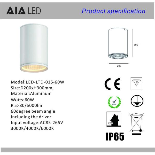 IP65 waterproof surface mounted downlight 60W DALI dimmable exterior led down light &exterior downlight