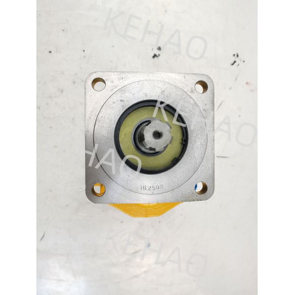 JHP2063L 6T Bulldozer Pump Cast Iron Aluminum Alloy Material Hydraulic Gear Pumps Yellow Color Rate of Flow 200 for CAT