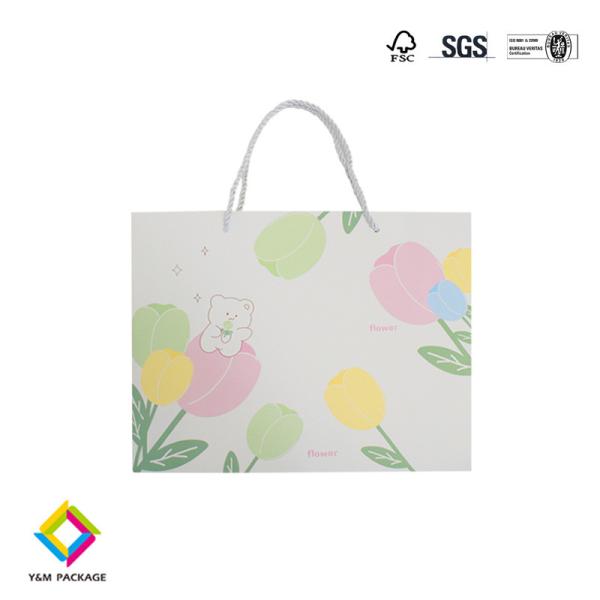 Clothing Paper Bag Custom Printed Takeaway Shopping Paper Bag Craft Paper Gift Bags