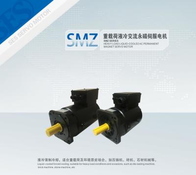 CE 270KW Class F 3000 Rpm AC Servo Motors