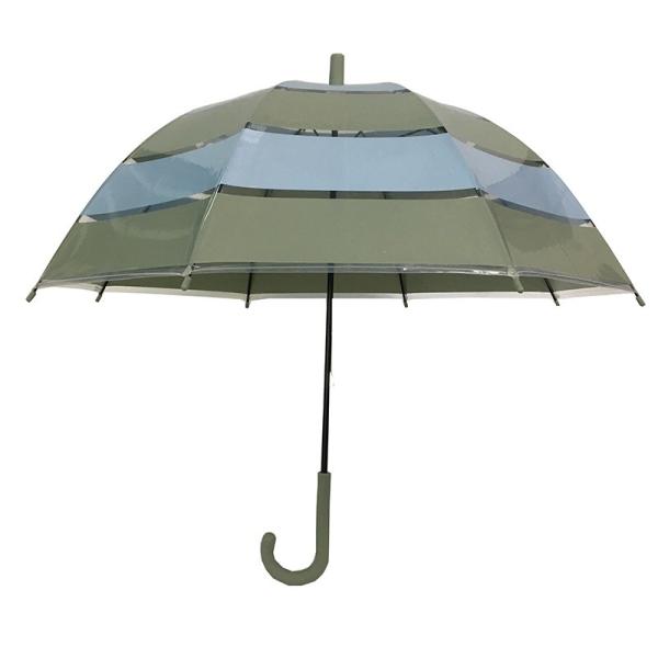 Прозрачный купол формирует POE ягнится компактный зонтик