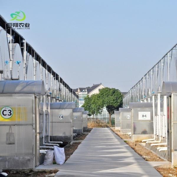 Teto com arco, túnel de plástico multi-espaço agrícola JX-PC Casa verde para a agricultura
