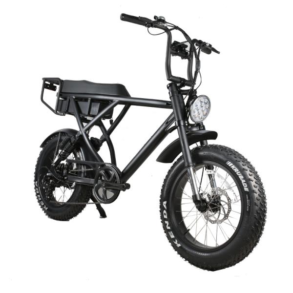 Disc Brake 1000W Retro Style 20inch Fat Tire Chopper Electric Bike for Beach Cruiser