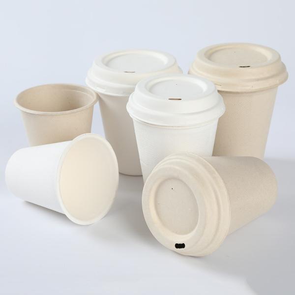 Customizable 8oz/10oz Bagasse Cup Food Grade Disposable Container with Customization