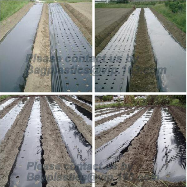Agricultural Mulching Film Used for Fruit, Flower and Vegetable