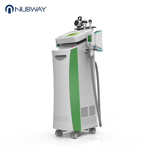 Vertical slimming machine 2019 best selling cryolipolysis machine for sale antifreeze membrane for cryolipolysis