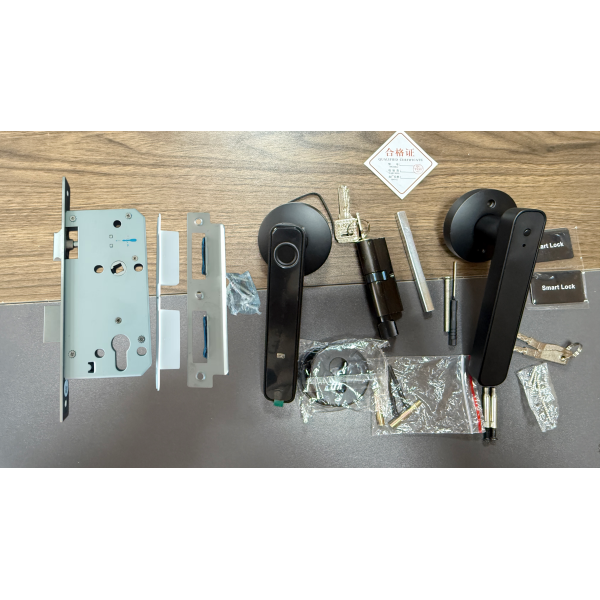 Qleung Smart Handle Lock S604N Fingerprint Password Card Key Unlocking Tuya Smart Home Lock