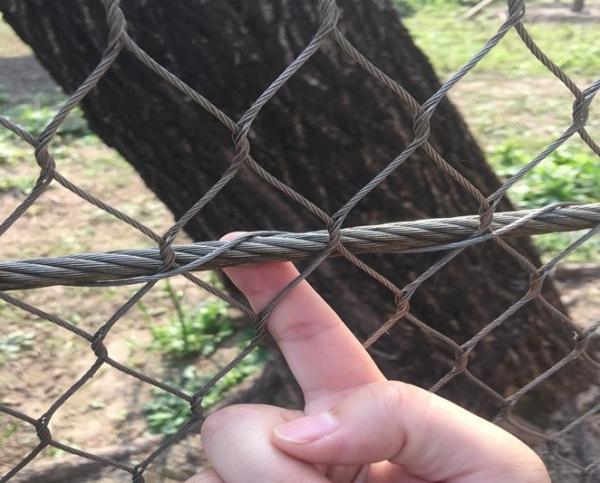 Black Oxidation Stainless Steel Wire Rope Mesh 50x50mm