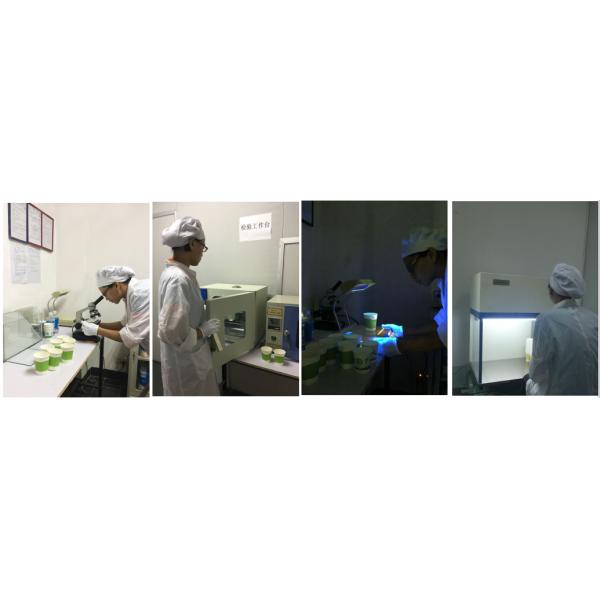 12oz Insulated Disposable Hot Beverage Cups , PE Coated Paper Coffee Cups