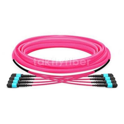 12/24/48/96/144 cores LC SC FC MPO MTP Trunk Cable Jumper Fiber Optic Patchcord