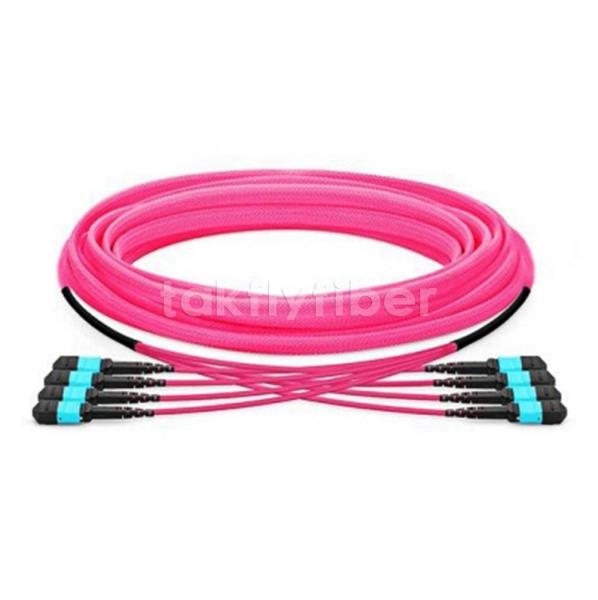 12/24/48/96/144 cores LC SC FC MPO MTP Trunk Cable Jumper Fiber Optic Patchcord