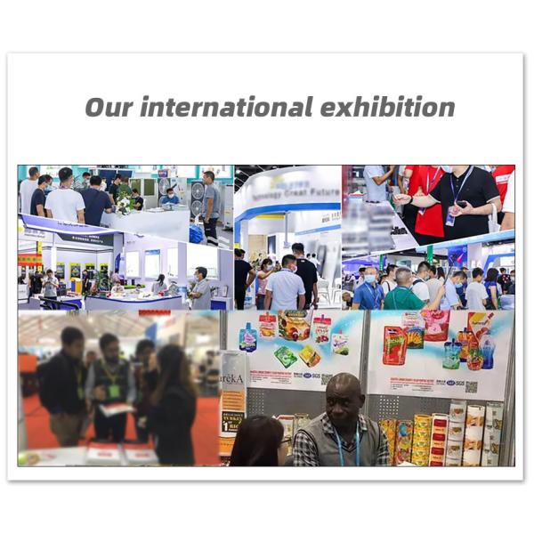 Производитель ПЭТ упаковка пищевых продуктов плоский дно Zipper пластиковый пакет для собак