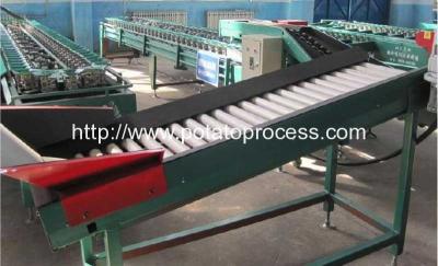 Automatic Potato Weight Grader Machine