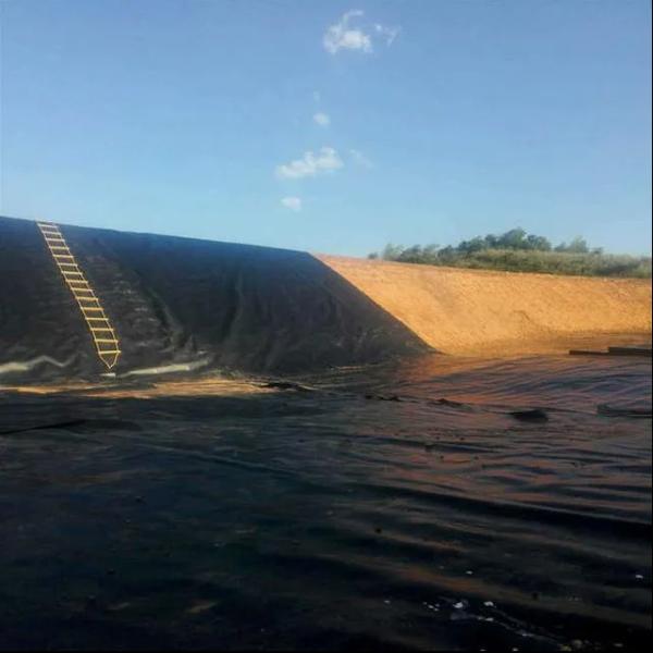 High Density Polyethylene HDPE Geomembrane Liners Thickness 0.5mm 1.5mm For Aquaculture