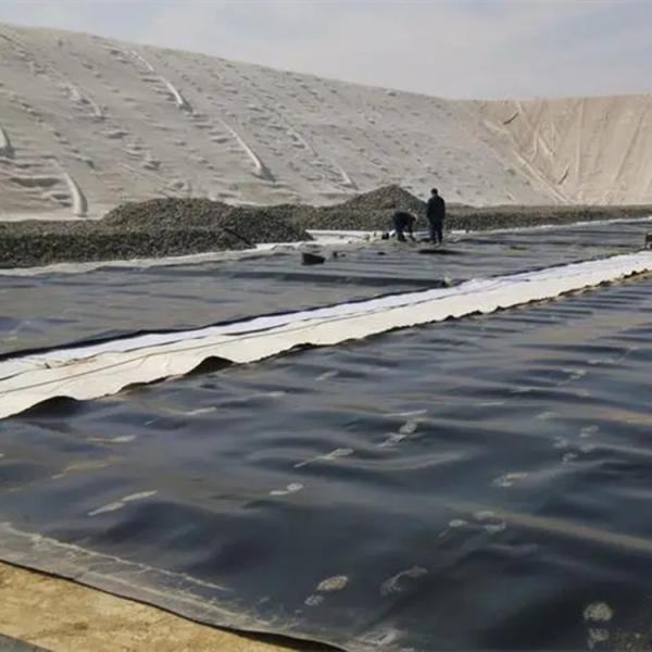 1m-8m Width Glossy Geomembrane for Biogas Diagester Cover Fish Pond Liner Dam Liner