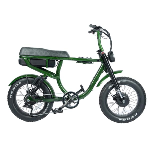 Disc Brake 1000W Retro Style 20inch Fat Tire Chopper Electric Bike for Beach Cruiser