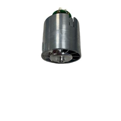 A alta velocidade sem escova elétrica do motor da C.C. 36V/48V personalizou o peso 70g