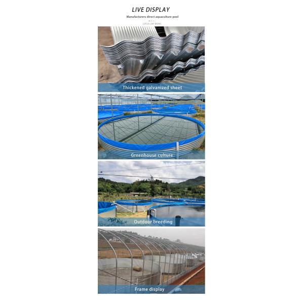 Outdoor Indoor Flexible Water Tank Recirculating Aquaculture System Tilapia Fish Farming Tank