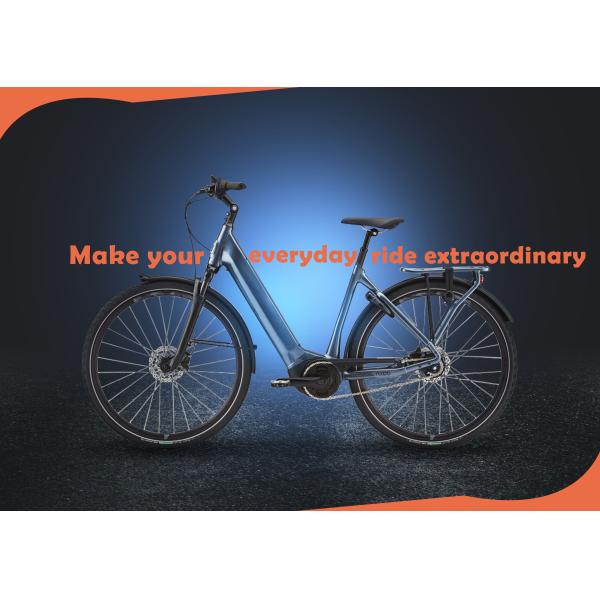250W 750w Electric City Bike 16.5AH Battery Dual Motor For Adults