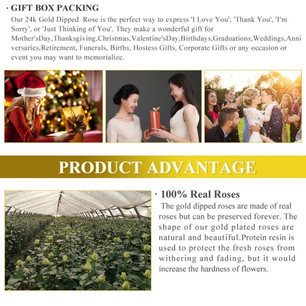 Half-blooming 24k Gold Dipped Purple Rose With Gift Box Forever Gold Rose for Valentine's Day Gifts and Decoration
