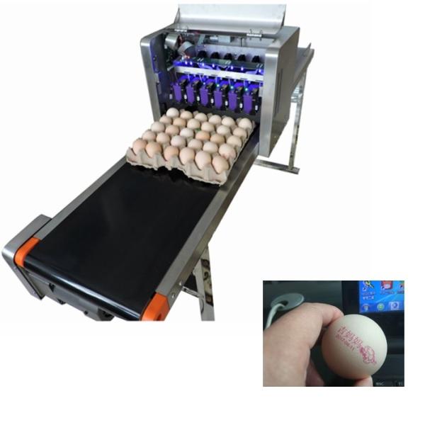 Industrial Software Operation Egg Printing Machine , HD Inkjet Printer For Eggs