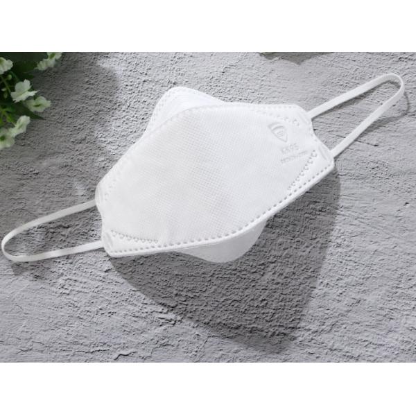 Earloop Style N95 Face Mask For House Cleaning / Yard Working / Gardening