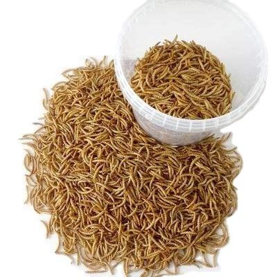 Long-lasting dried mealworm with 1 year of freshness packed with iron