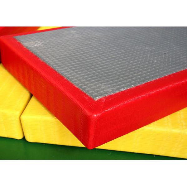 Хигх-денситы циновки дзюдо конкуренции и тренировки боевых искусств Джуджицу Бдждж красочные